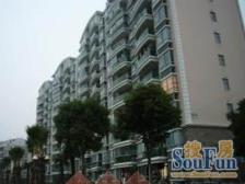 繁华地段,采光充足,小区中心位置,房型正气