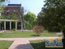 新上别墅,看房随时,送超大花园200,送大露台