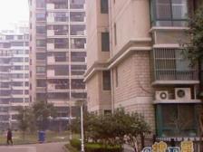 金杨·锦绣河山·1室·1厅