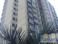 金杨·锦绣河山·3室·1厅