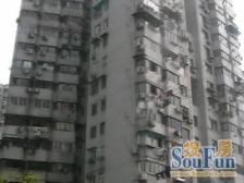 凉二小区2室东朝向339.00万元/套出售