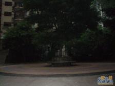 龙溪镇 碧景苑二房