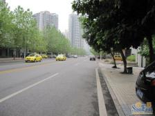 北部新区 创业公寓二房