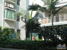 骏龙园 3室2厅 西