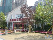 南滨路前排一线正看江,标准一室一厅可做小两房