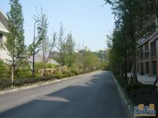 前排一线正江景,俯瞰渝中半岛。