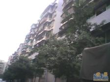 带屋顶3个房间,相当于两套房子