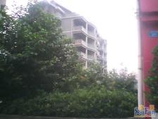 双轻轨.适用大家庭.商圈成熟地段