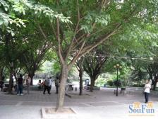 南桥寺 华渝西苑二房46万