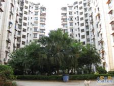 金岛花园 电梯两房 户型方正 68万