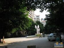 金岛花园小区,户型方正,采光好,居家方便,配套成熟