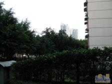 龙溪镇 金岛花园三房112万