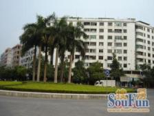 沙园中路 3室2厅 南 北