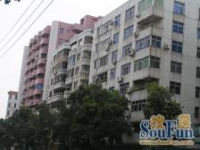 沙园中路 3室2厅 南 北