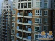 凤凰景苑 3室1厅 南 东 北