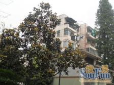 控江·延吉东路125弄·2室·0厅
