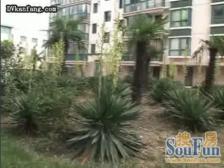 良友新村 3室2厅 南