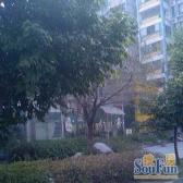 黄忠爱丽舍1室1厅东南
