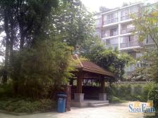 西城映画 5室3厅 西南