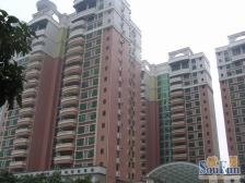 顶楼复式,户型方正,看房方便,视野开阔