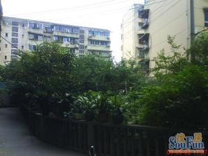 光荣西路65号3室1厅西南