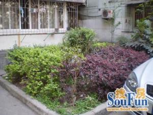 抚琴西路199号 2室1厅 南 北