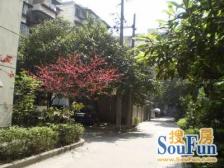 抚琴西路199号2室2厅东南