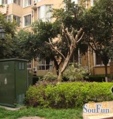 科沁苑3室2厅南