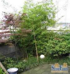 科沁苑4室2厅南