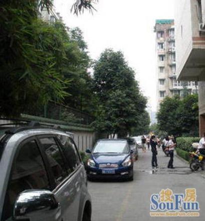 学府春实景图
