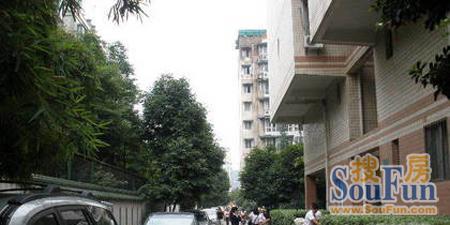 学府春实景图