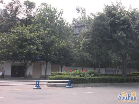 锦东路社区实景图