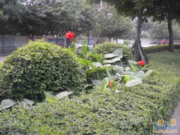 锦东路社区实景图