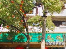 西北新村 3室2厅 南 北