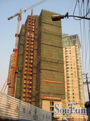 实景图