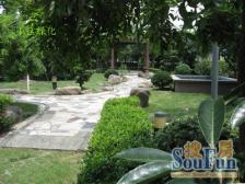 朝南看小区花园,视野开阔无遮挡,滨江大道