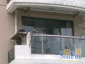 南桥老城区院子房,户型正气,小区好停车,全明户型。