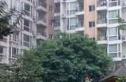 一环路南三段64号院实景图