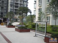 采光充足,视野开阔,户型方正, 交通便利