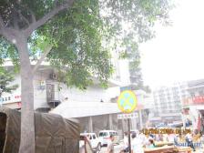 康宁村 1室1厅 南