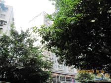 天星桥27号房子是正规两室一厅一厨一卫