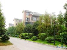 巨豪香溪美林 3室2厅 北