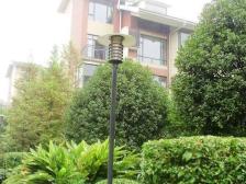 两江蔡家 花园洋房 户型方正采光好