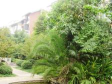 香溪美林 顶跃带独立屋顶花园 双外阳台 居家安静