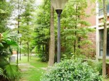 蔡家 香溪美林二期二房44万