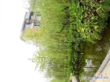 香溪美林横厅大三房 端户带车位