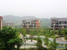 两江蔡家 花园洋房 户型方正采光好