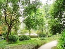 香溪美林洋房带露台 可以装自己喜欢的风格