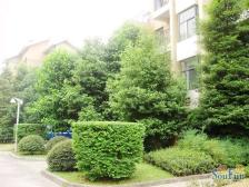 户型方正,采光也很好,楼层合适。