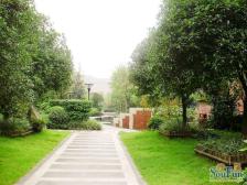 两江蔡家 花园洋房 户型方正采光好